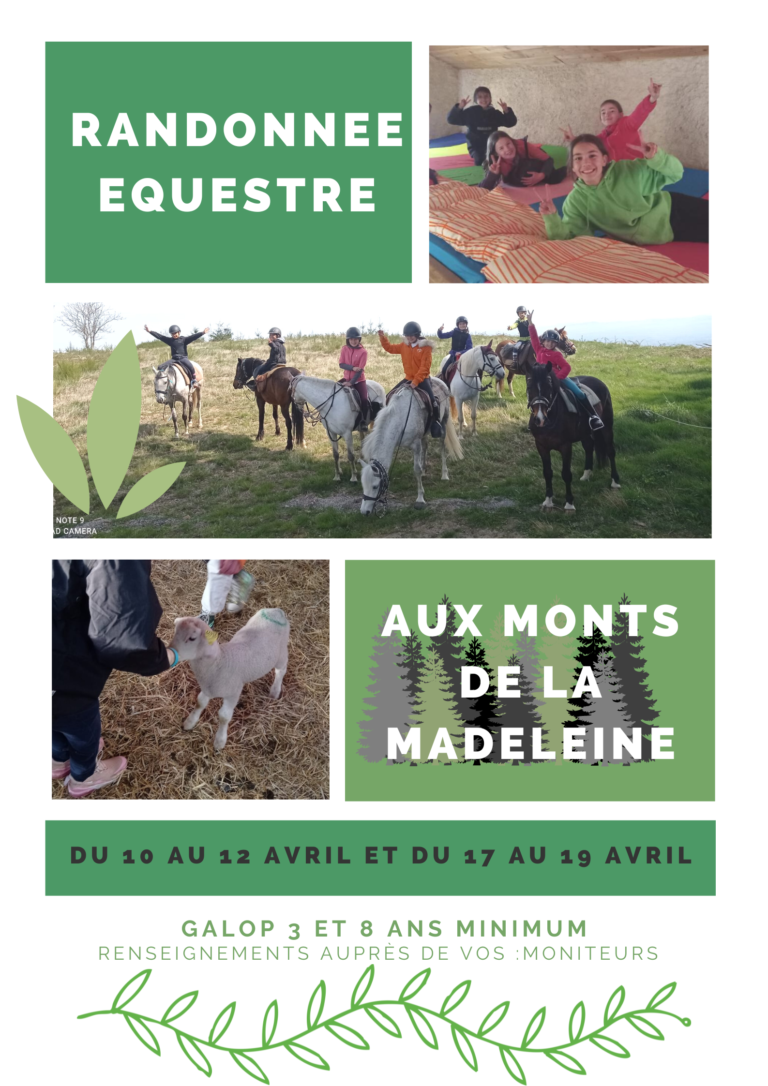 Stages - Ecuries de Champlong